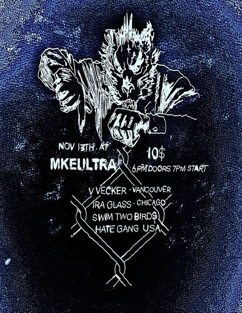 V.Vecker, Ira Glass, Swim Two Birds, Hate Gang USA