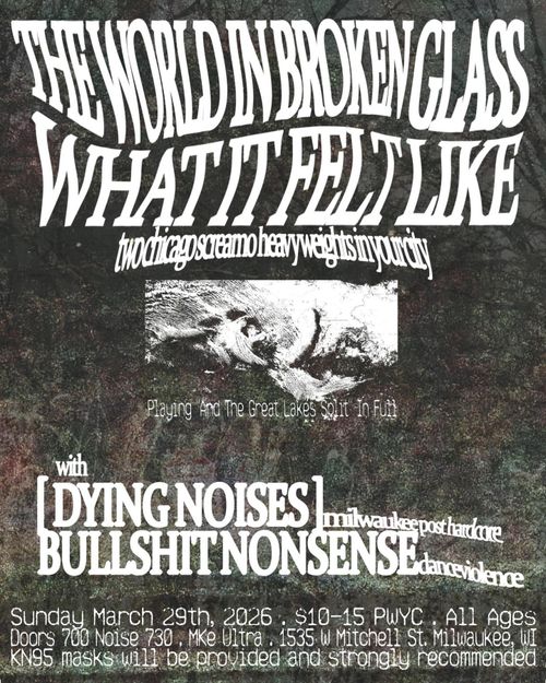 The World In Broken Glass, What It Felt Like, Dying Noise, Bullshit Nonsense