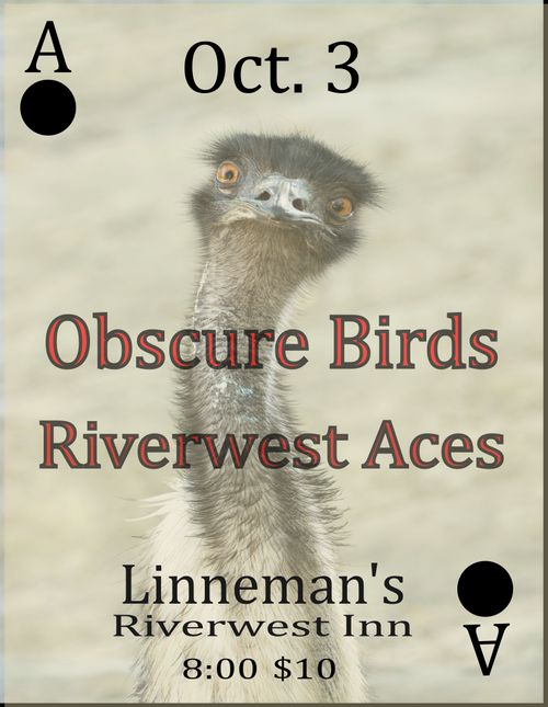 Obscure Birds 10 Year Anniversary w/ Riverwest Aces